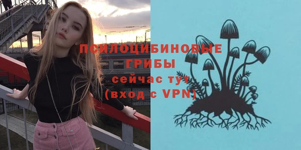 стаф Бронницы