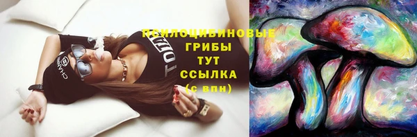 спайс Бородино