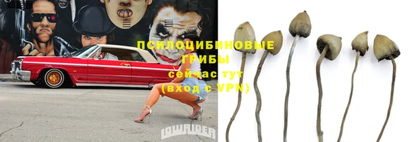 стаф Бронницы