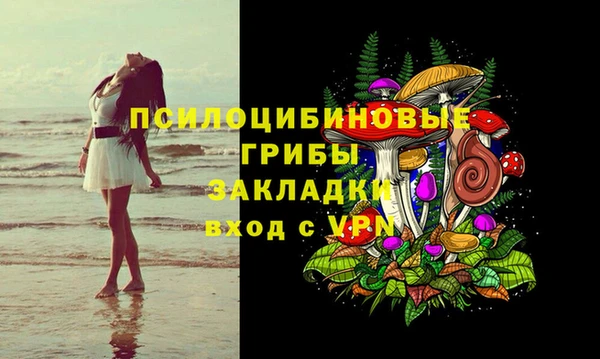 стаф Бронницы