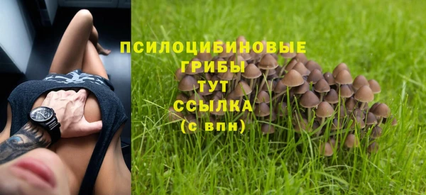 спайс Бородино