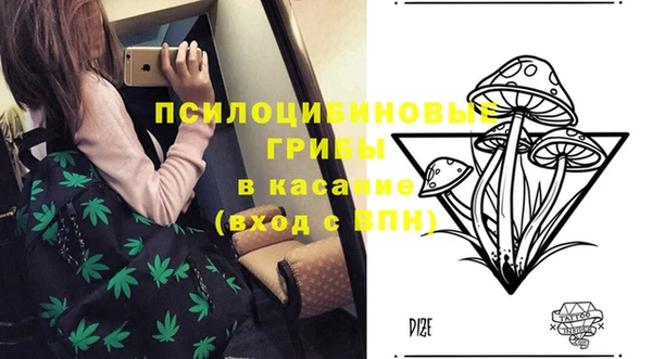 спайс Бородино