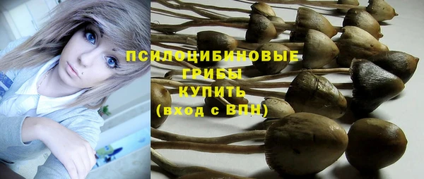 бутират Бугульма